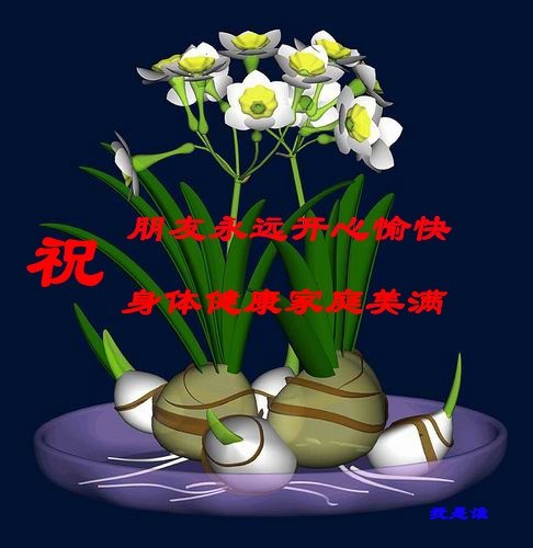 QQͼƬ20130829061559.jpg