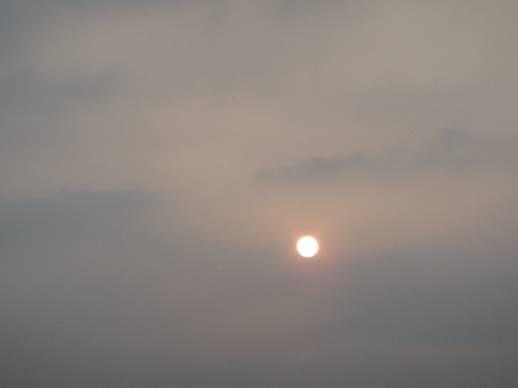 DSC09266.JPG