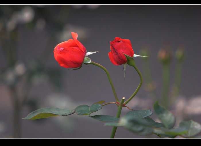 119d77b08f7.jpg