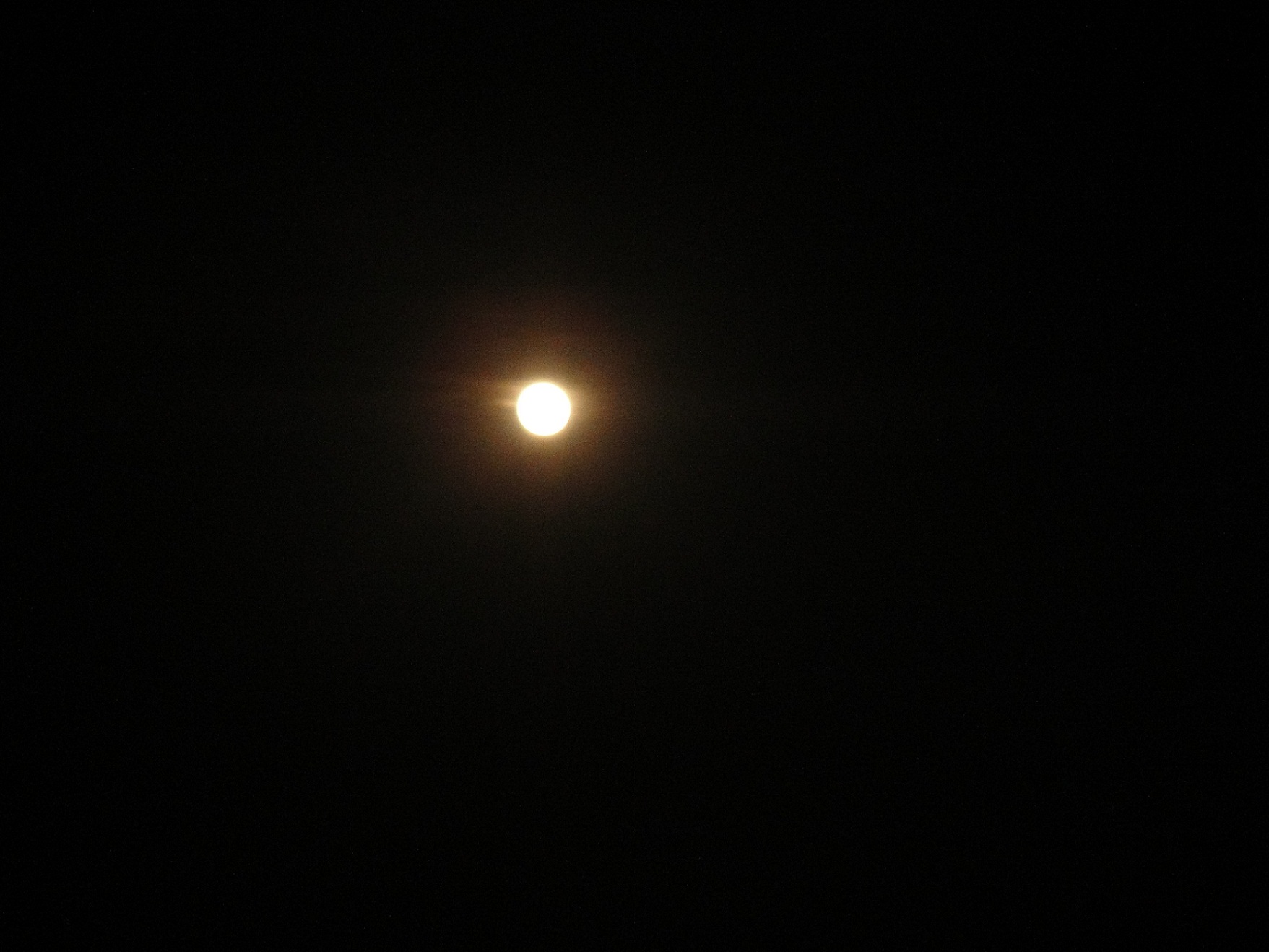 DSC09334.JPG
