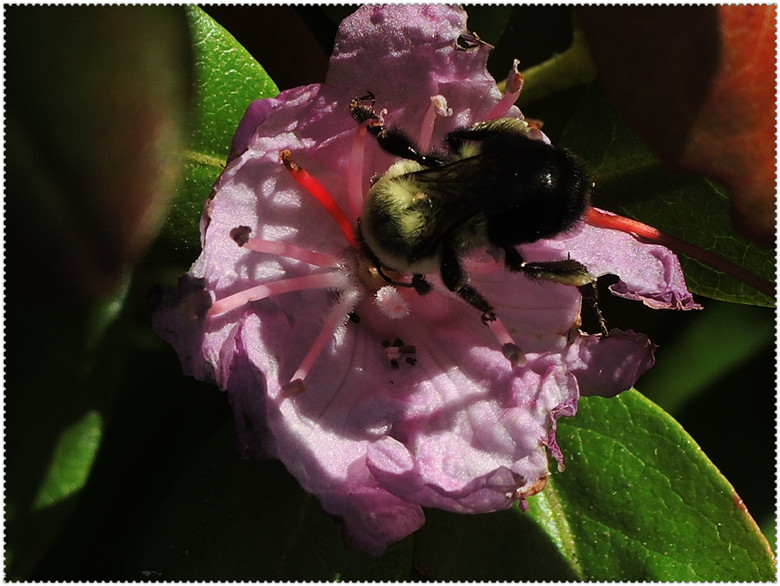 DSCN1665.jpg