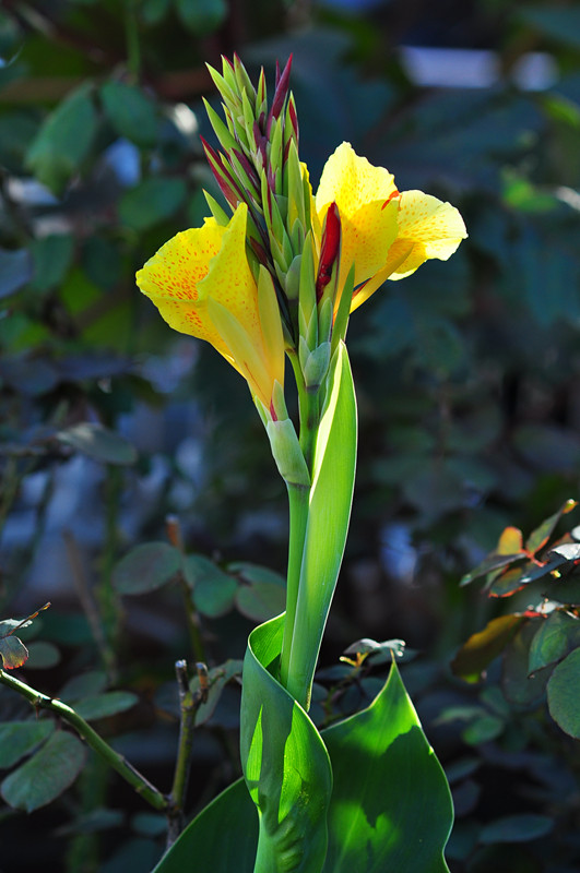 DSC_0620_����.jpg