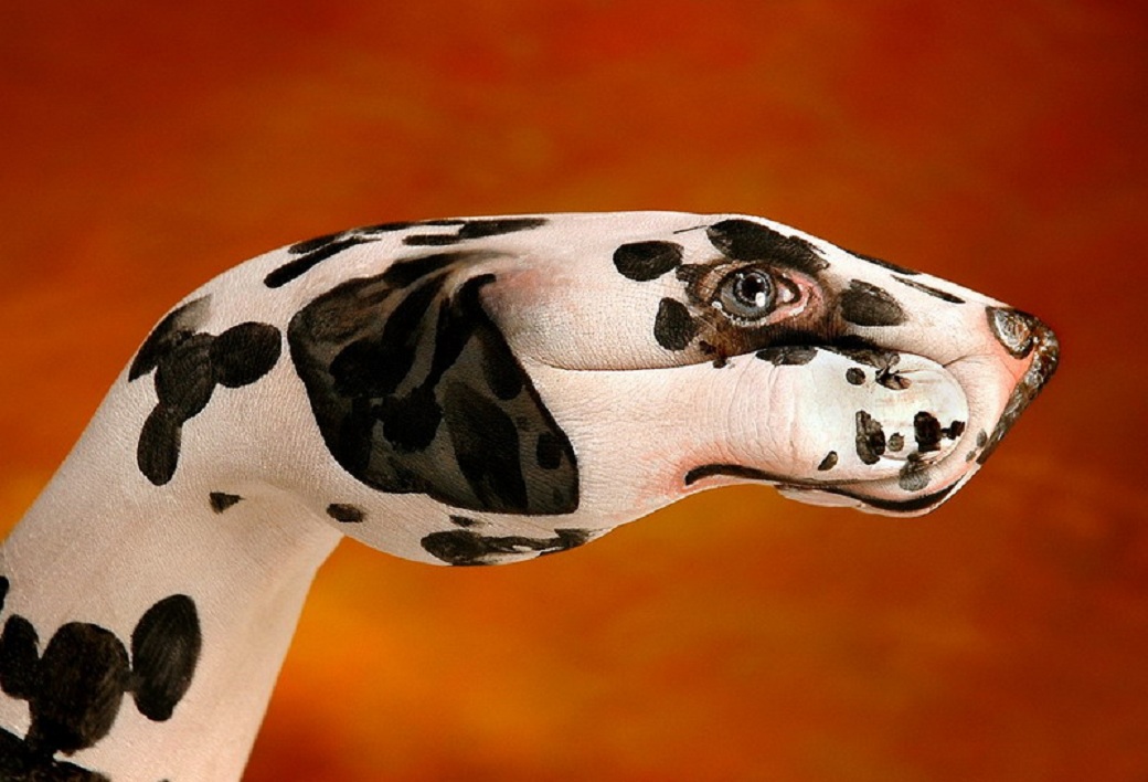 1201101302794f1af2e908e3a2.jpg