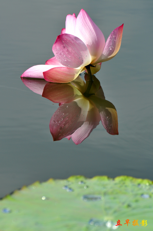 DSC_0714.JPG