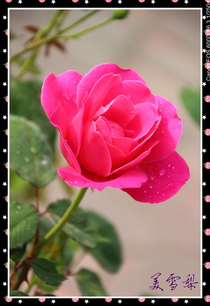 60_6229_9c21810ab9af9ff.jpg