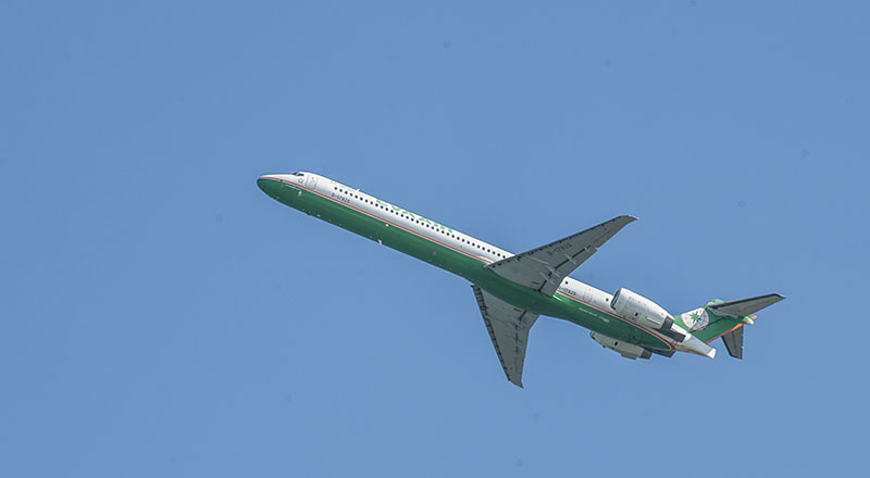DSC_8380.jpg