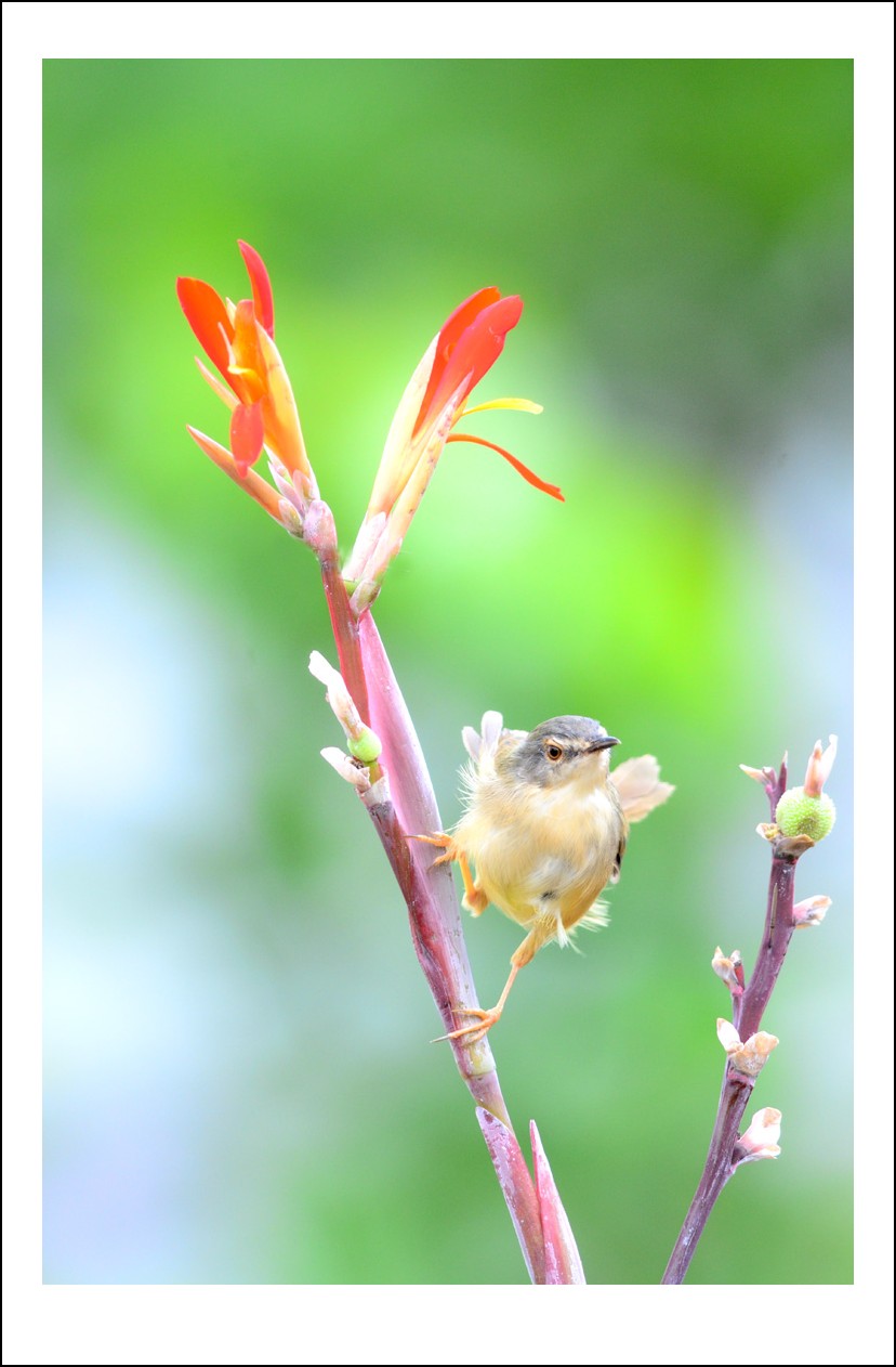 DSC_4422_conew1.jpg