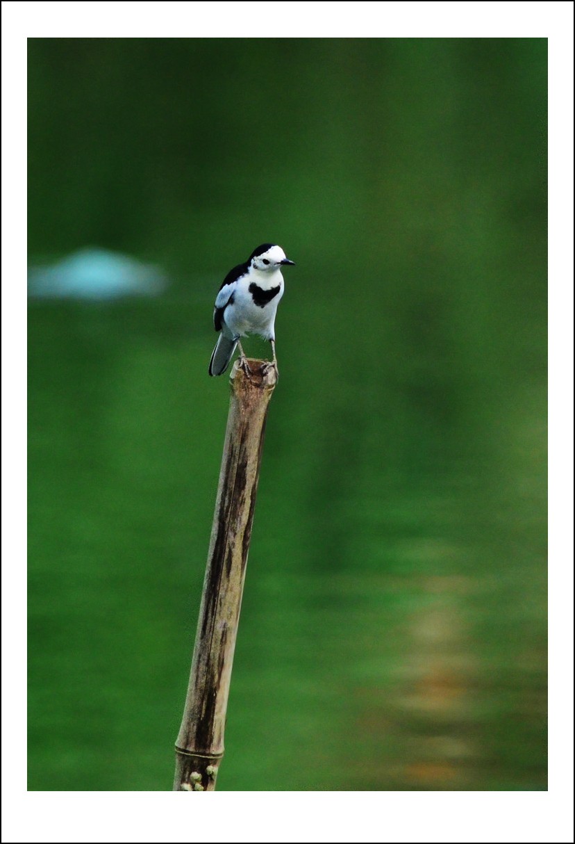 DSC_9022_conew1.jpg