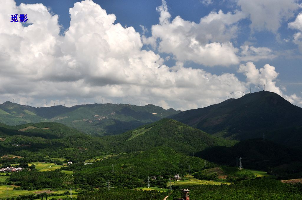 DSC_95894.jpg