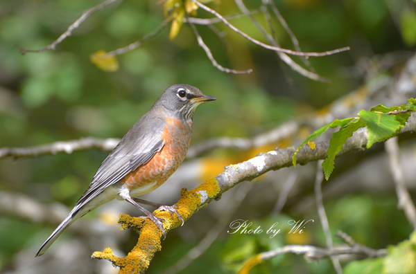 DSC_2782_.png
