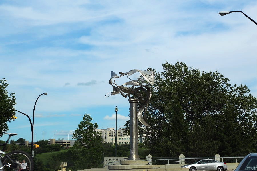 IMG_7494.JPG