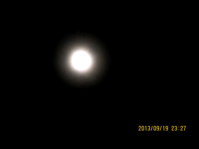 IMG_3217_.jpg