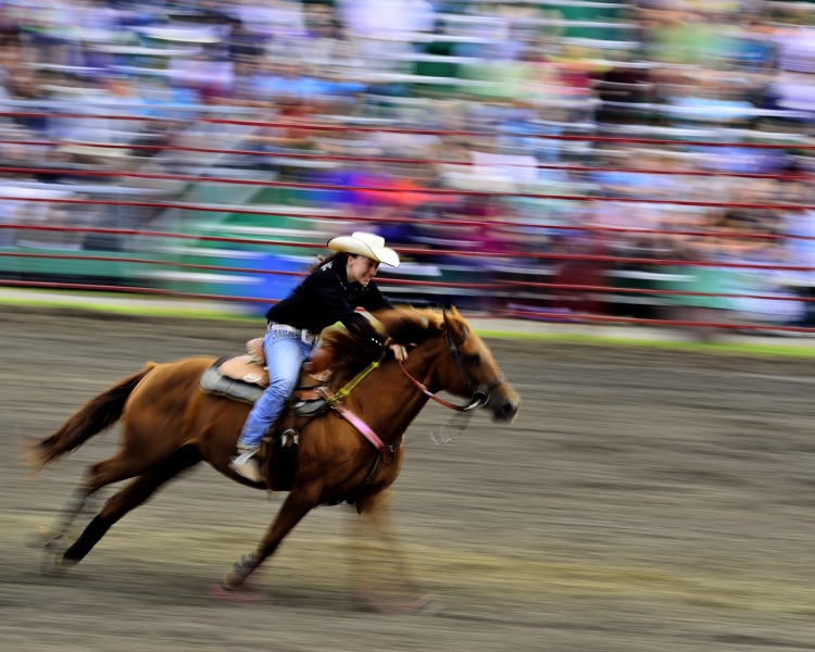 _DSC3969_01.JPG