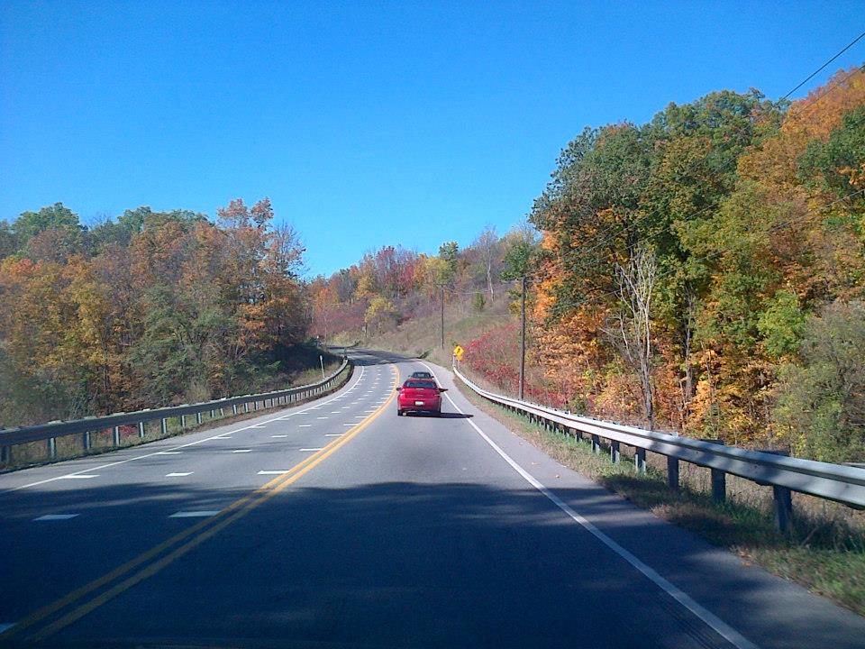 crawford lake7.jpg