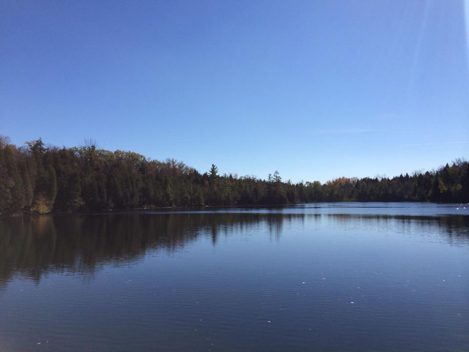 crawford lake1.jpg