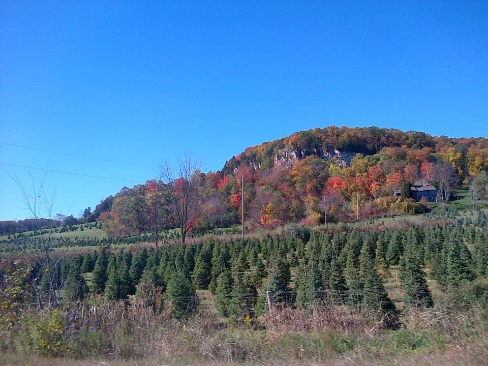 crawford lake6.jpg