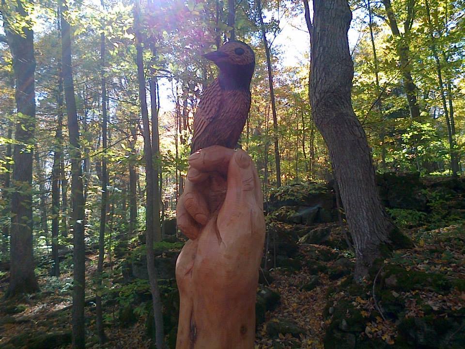 crawford lake8.jpg