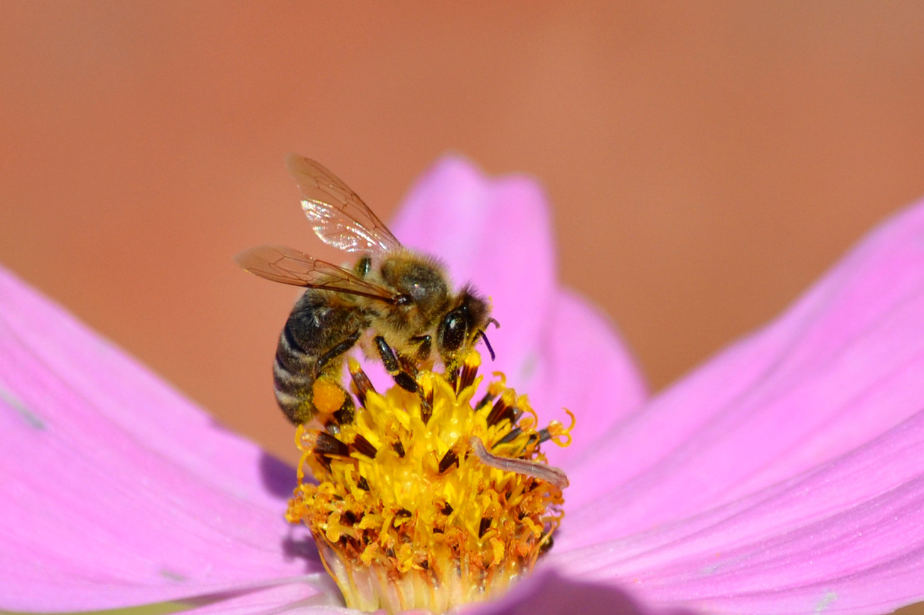 DSC_4580_5.jpg