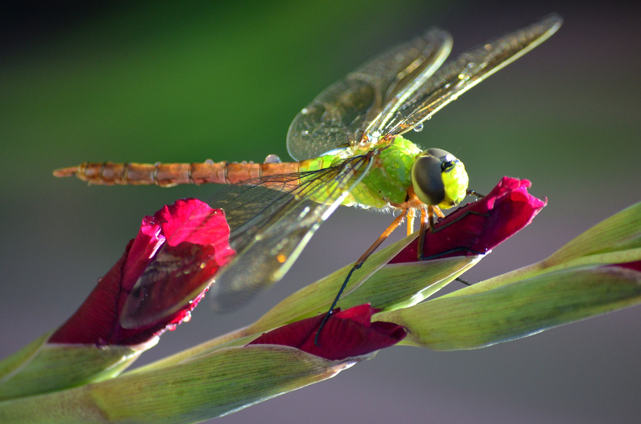 DSC_8880_01.jpg