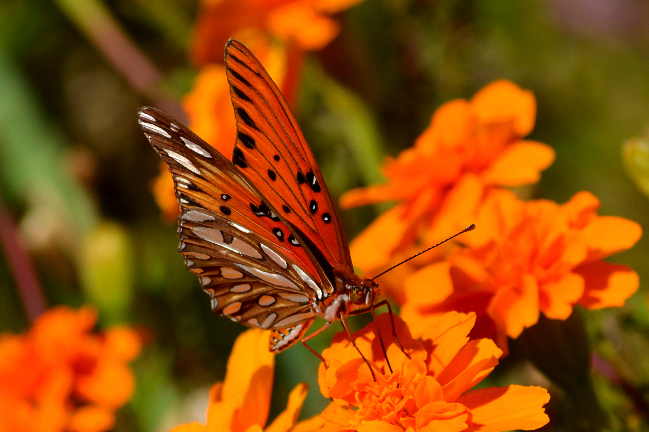 DSC_3817_3.jpg