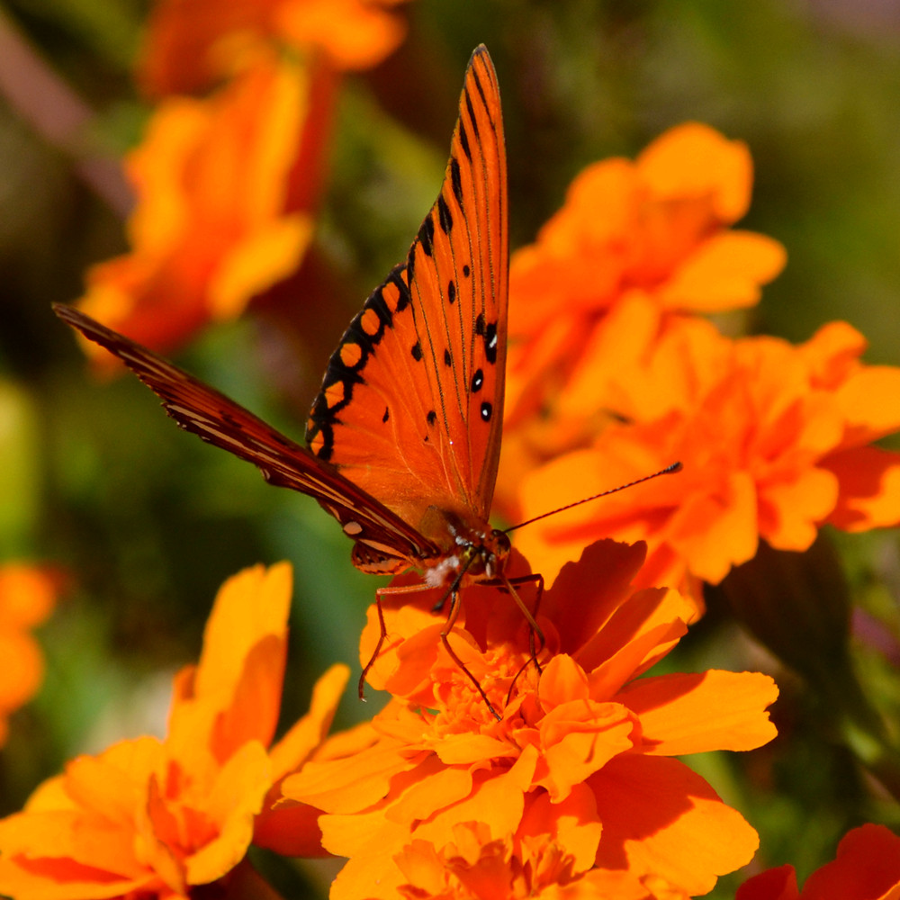DSC_3820_1.jpg