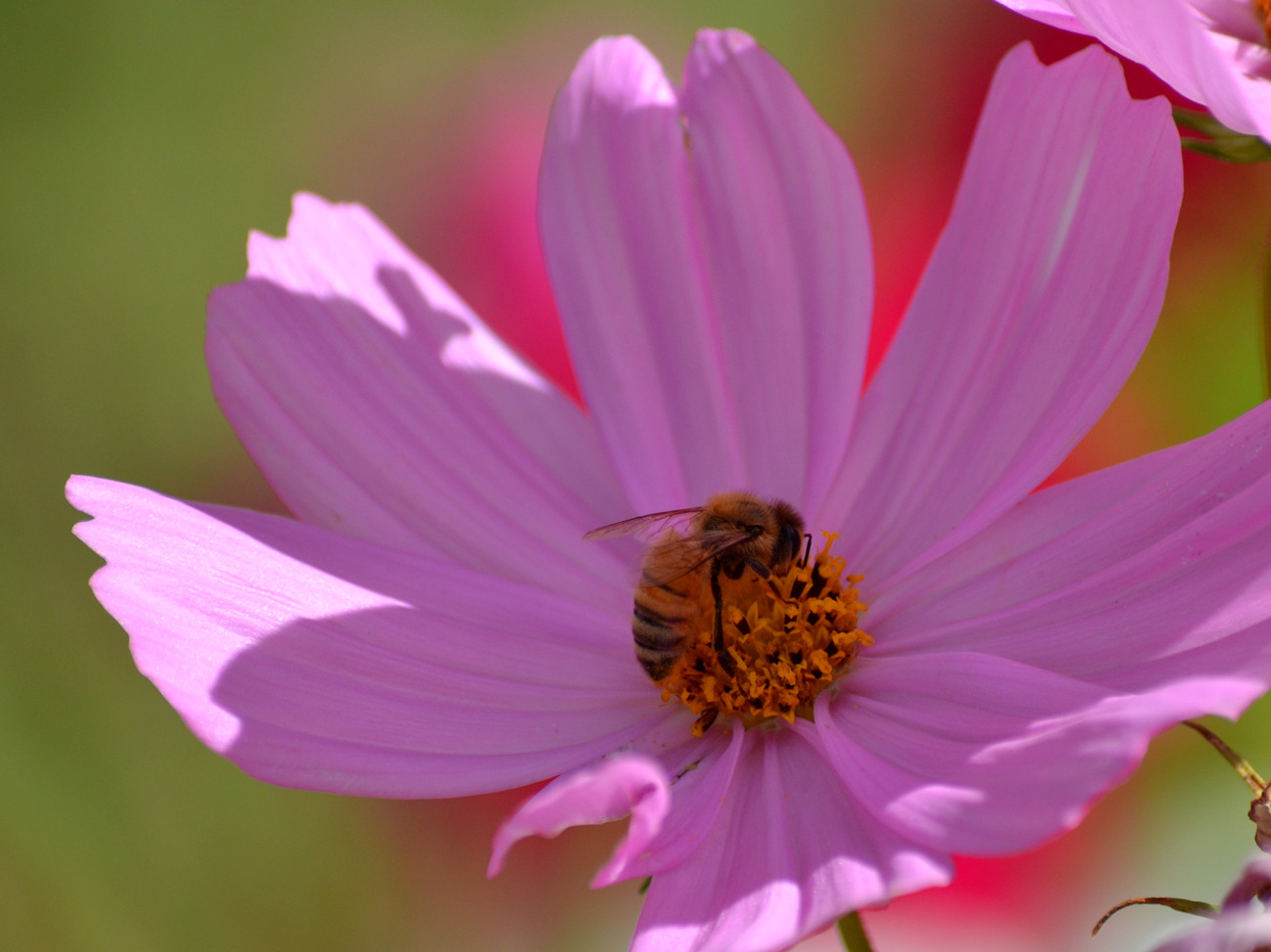 DSC_1553_35.jpg