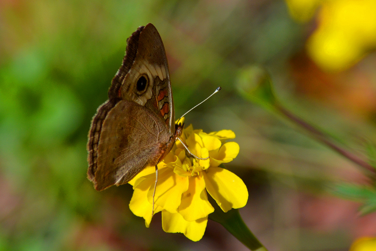 DSC_2641_24.jpg