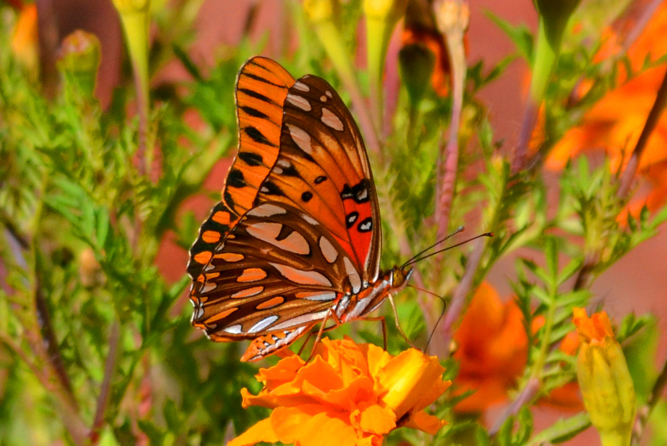 DSC_3810_08.jpg