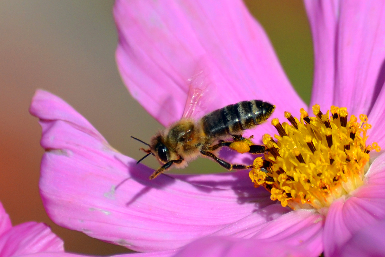 DSC_4280_15.jpg