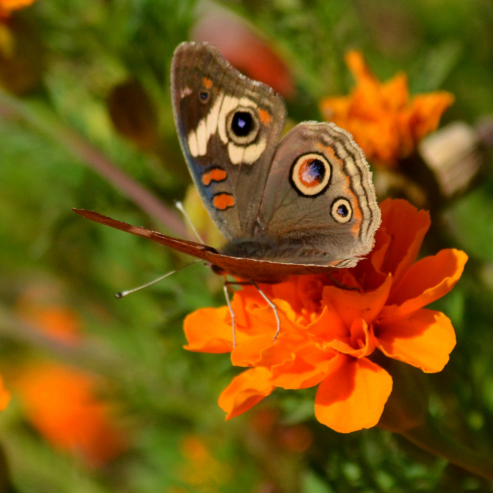 DSC_2551_14.jpg