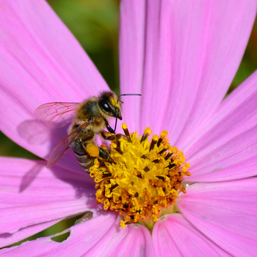 DSC_4394_12.jpg