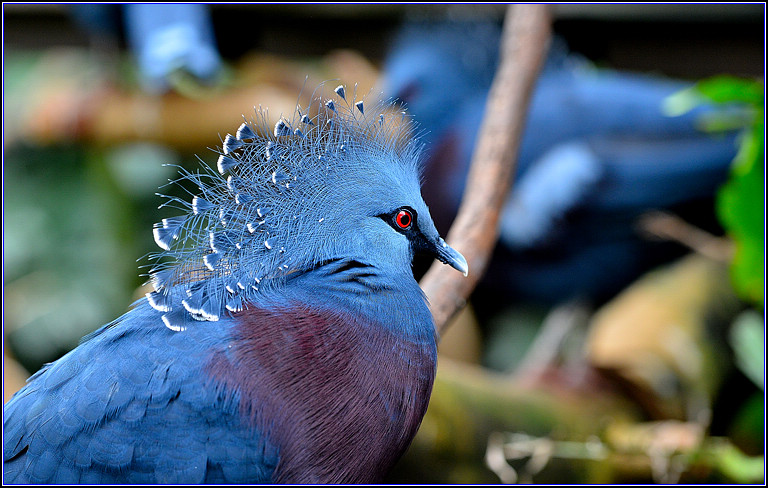 DSC_0026.jpg