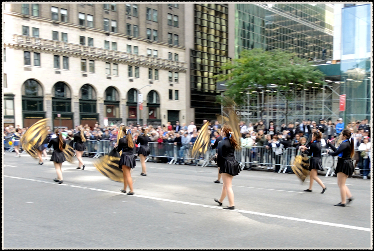 DSCN9222.jpg