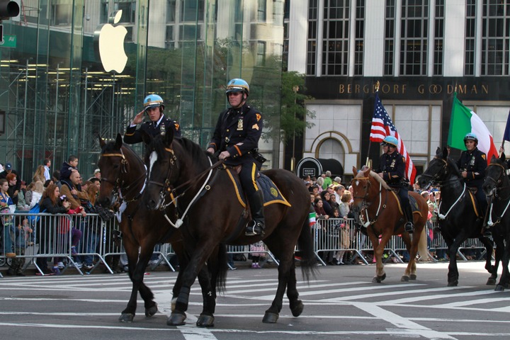 IMG_4166.jpg
