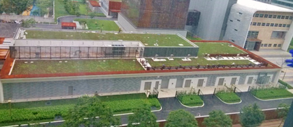 201306061445425684.jpg