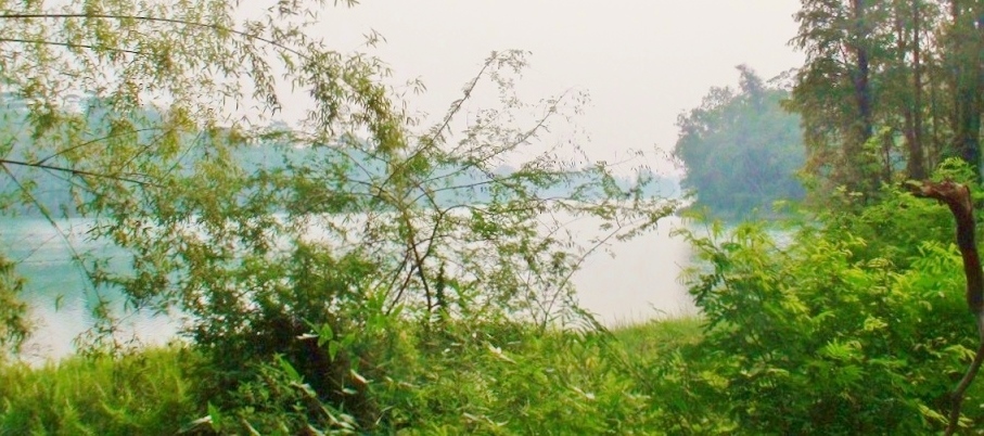 DSC00704.JPG