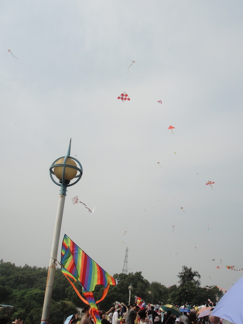 DSC09514.JPG