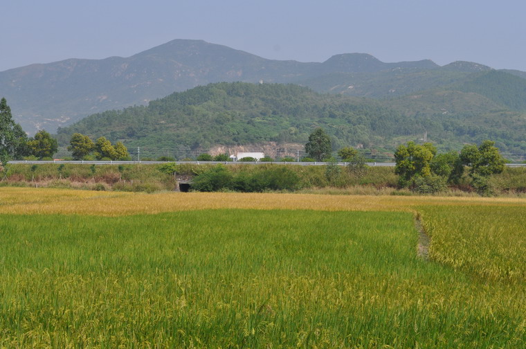 DSC_1320.JPG