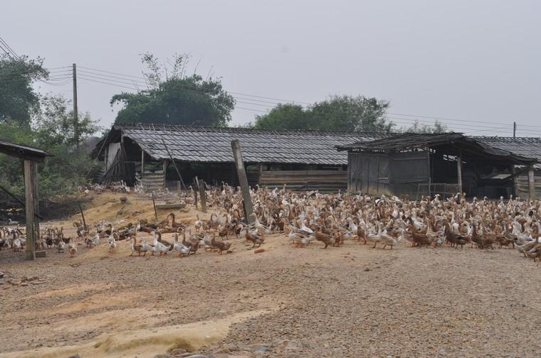 DSC_1089.JPG