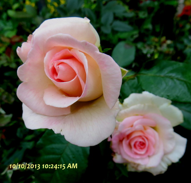 IMG_0001_5450.jpg