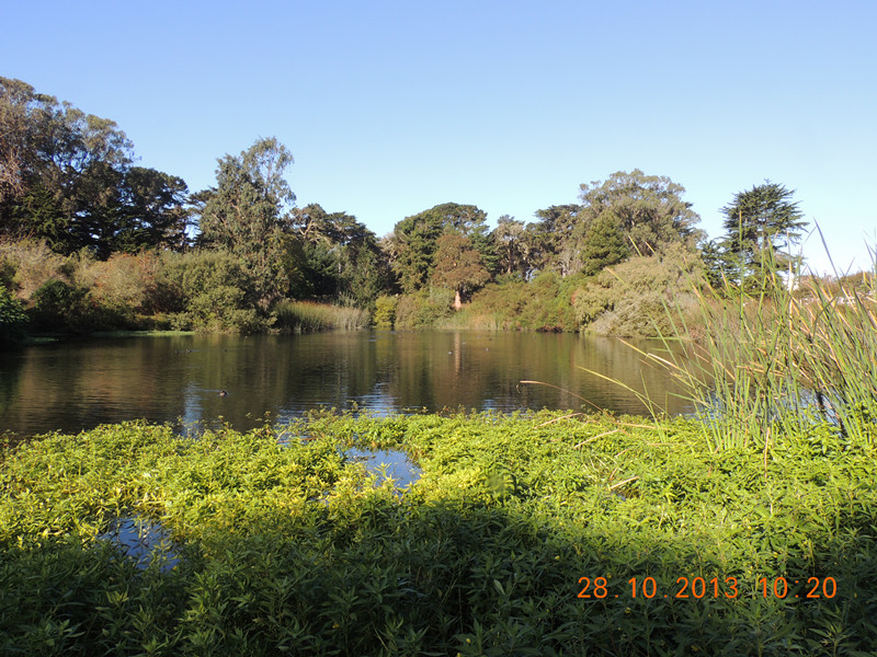 Golden gate park 049_.jpg