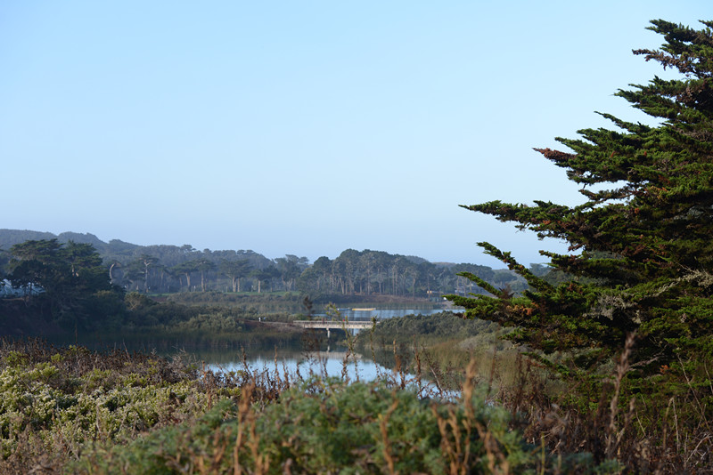 live 1453_.jpg
