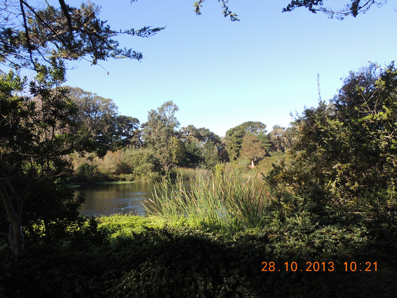 Golden gate park 051_.jpg