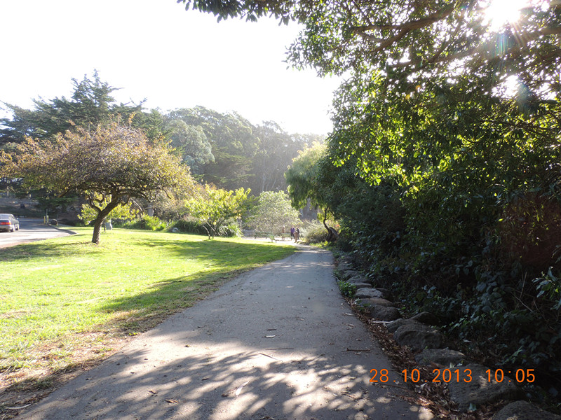 Golden gate park 006_.jpg