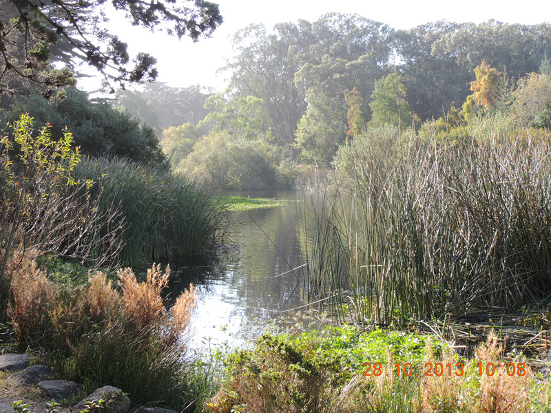 Golden gate park 011_.jpg