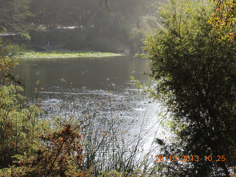 Golden gate park 053_.jpg