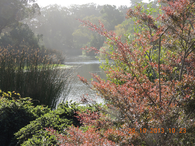 Golden gate park 052_.jpg