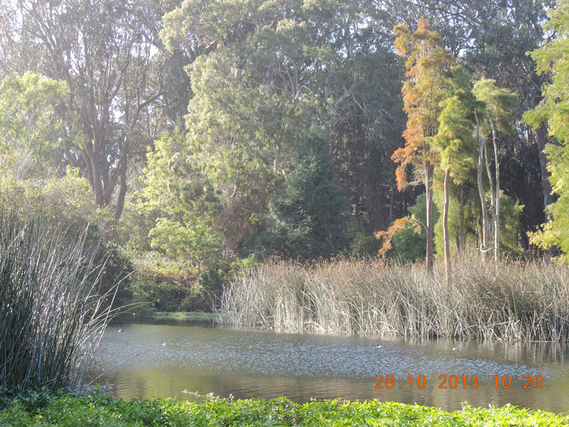 Golden gate park 048_.jpg