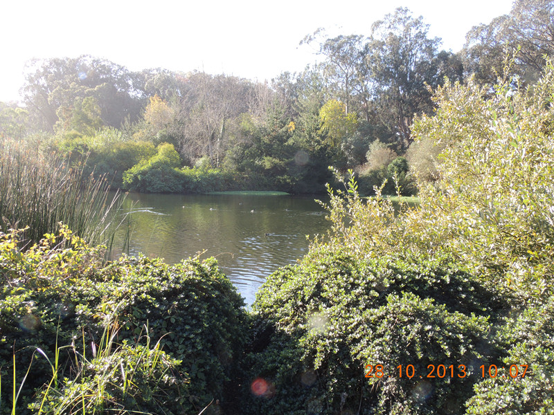 Golden gate park 009_.jpg