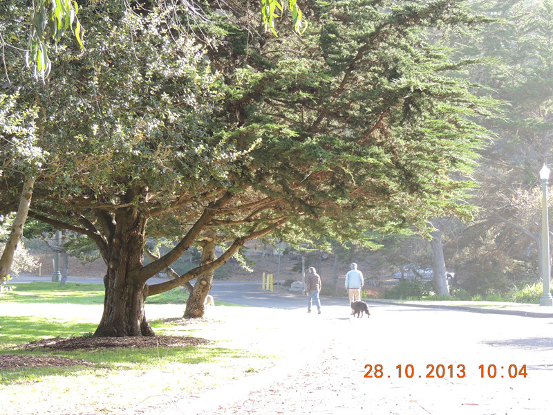 Golden gate park 003_.jpg